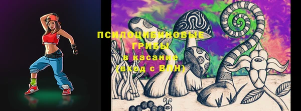 гидропоника Лабытнанги