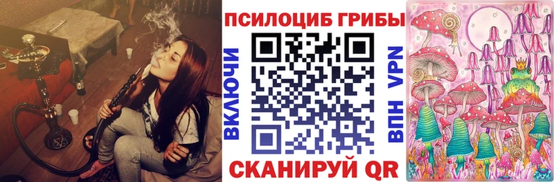Псилоцибиновые грибы GOLDEN TEACHER  Ессентукская 